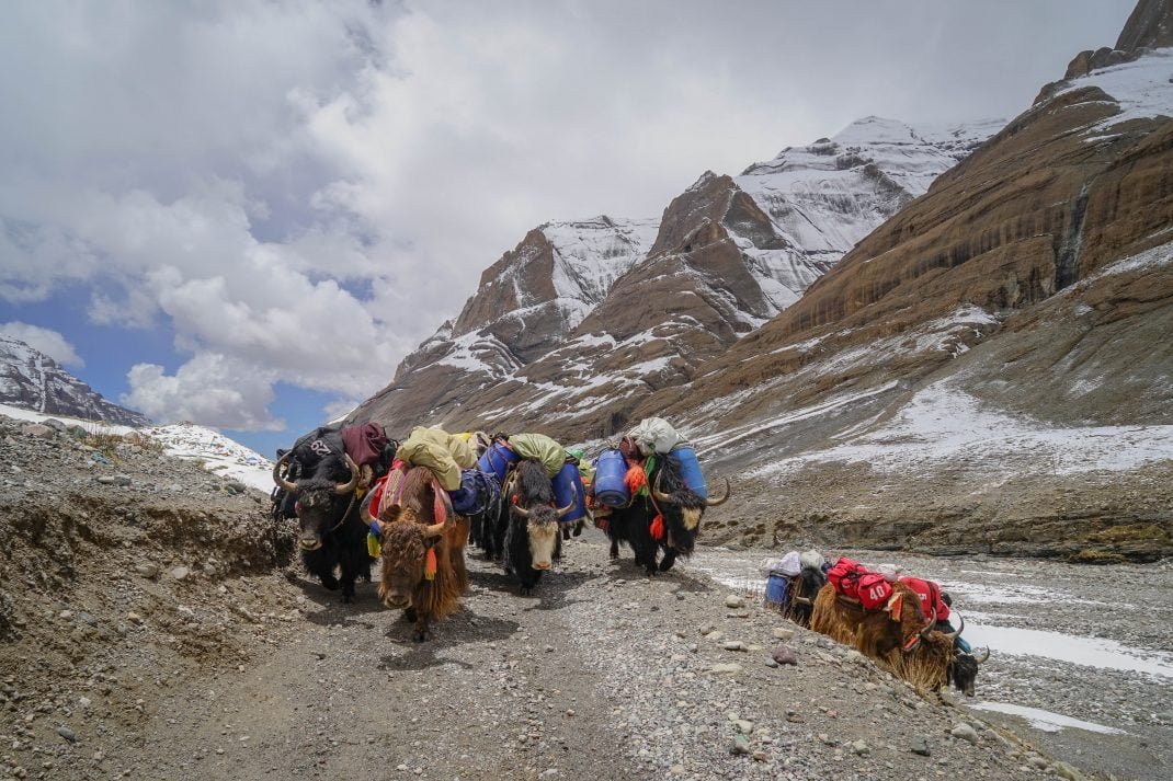 ⛩️ 고라 대사(고라타이샤) 이미지 5
